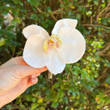 Sonder Wedding Buttonholes (white mix orchids)