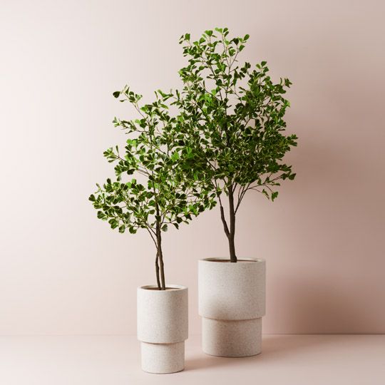 Artificial flowers Artificial Ficus Triangle Tree Variegated - Sonder + Stone Boutique