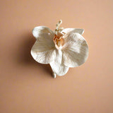 Sonder Wedding Buttonholes (latte orchid) - Premium Artificial Wedding Flowers by Sonder + Stone Boutique