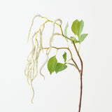 White amaranthus spray 88cm