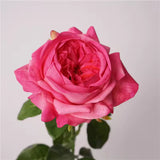 Real-Touch Austin Rose 65cm - Fuschia