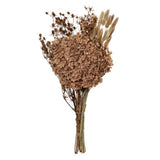Mixed Dried Flower Bunch - Natural