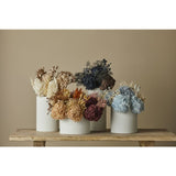 Mixed Dried Flower Bunch - Rust