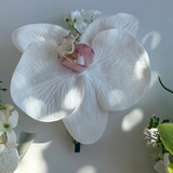 Sonder Wedding Buttonholes (white mix orchids)