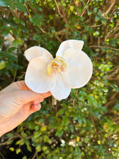 Sonder Wedding Buttonholes (white mix orchids) - Premium Artificial Wedding Flowers by Sonder & Stone Boutique