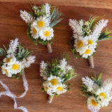 Sonder Wedding Buttonholes (daisy mix)
