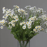 Chamomile Daisy Spray - White