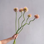 Allium Onion Ball 84cm - Light Pink - Premium Artificial Wedding Flowers by Sonder & Stone Boutique
