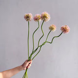 Allium Onion Ball 84cm - Light Pink - Premium Artificial Wedding Flowers by Sonder & Stone Boutique