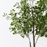 Artificial flowers Artificial Ficus Triangle Tree Variegated - Sonder + Stone Boutique