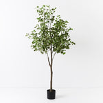 Artificial flowers Artificial Ficus Triangle Tree Variegated - Sonder + Stone Boutique