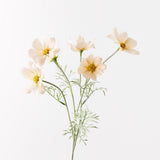 Cosmos Spray - Champagne - Premium Artificial Wedding Flowers by Sonder & Stone Boutique