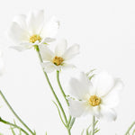 Cosmos Spray - White - Premium Artificial Wedding Flowers by Sonder & Stone Boutique
