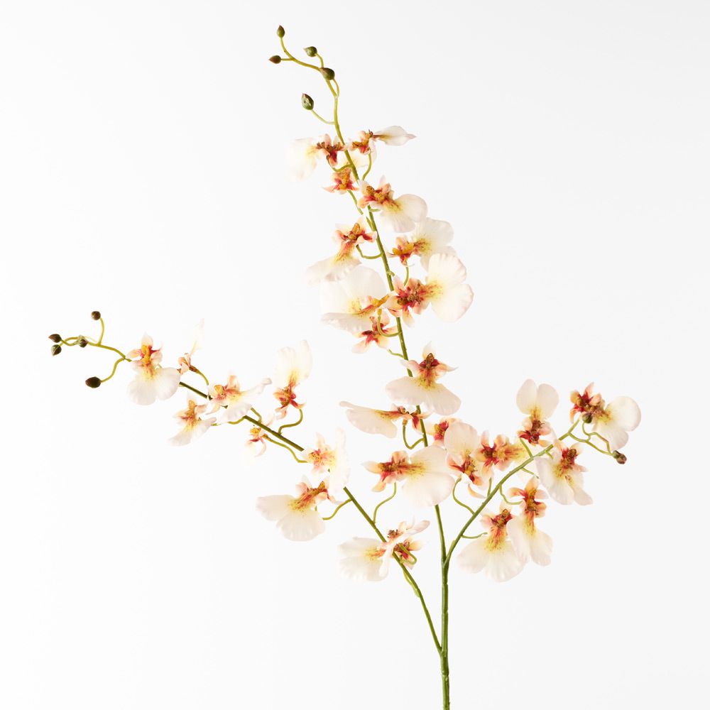 Cream real-touch dancing orchid | Sonder + Stone Boutique