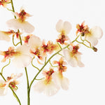 Cream real-touch dancing orchid alt view 2