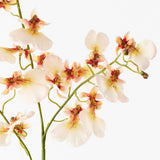 Cream real-touch dancing orchid alt view 2