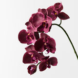 Burgundy real-touch phalaenopsis orchid spray | Sonder + Stone Boutique