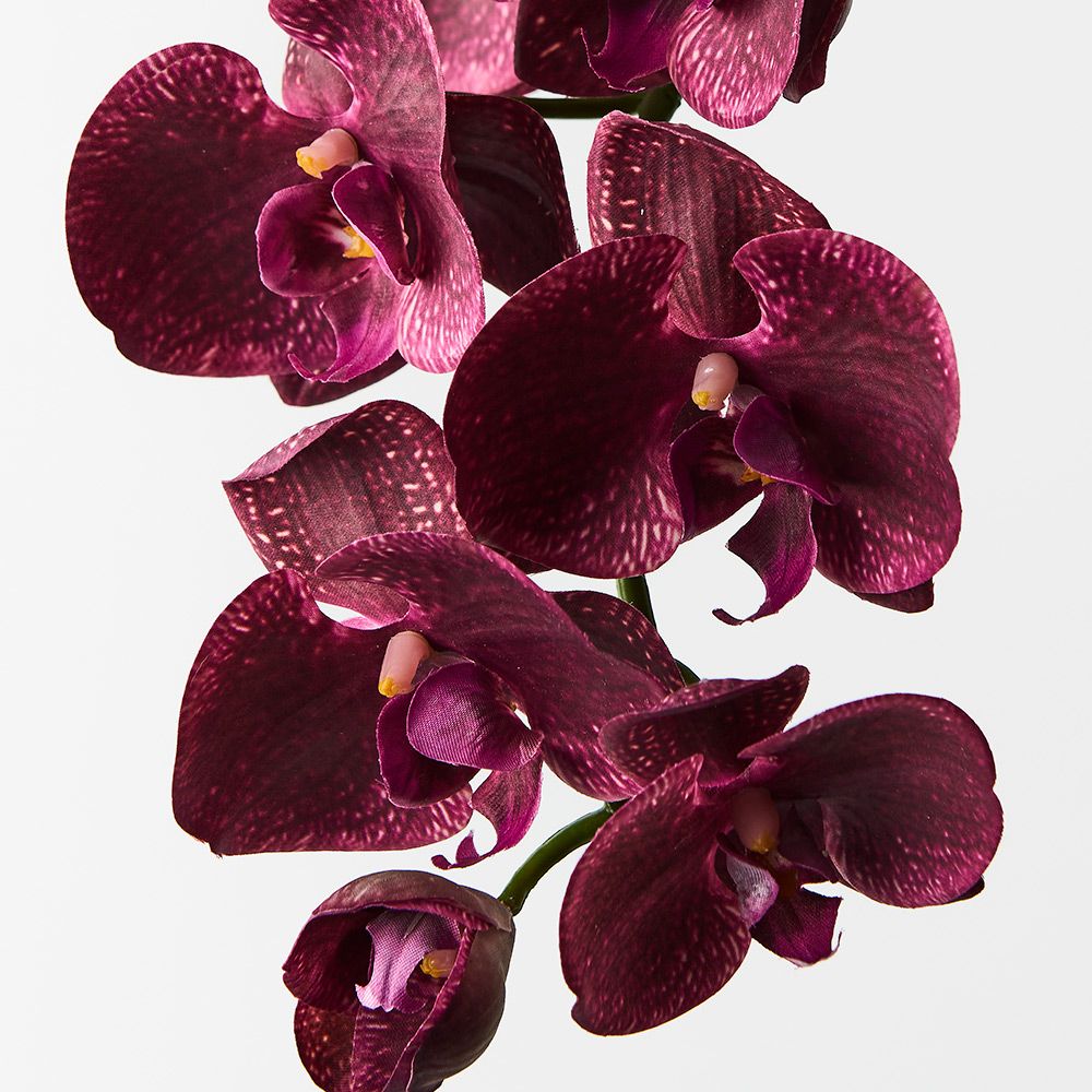 Burgundy real-touch phalaenopsis orchid spray alt view 2