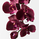 Burgundy real-touch phalaenopsis orchid spray alt view 2