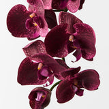 Burgundy real-touch phalaenopsis orchid spray alt view 2