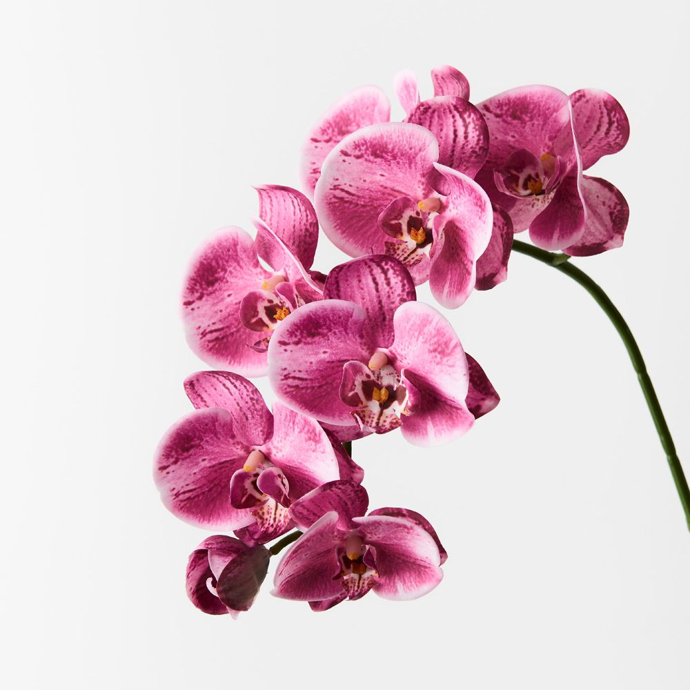 Hot Pink real-touch phalaenopsis orchid spray | Sonder + Stone Boutique