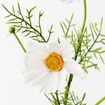 White real-touch cosmos spray alt view 2
