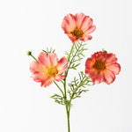 Orange real-touch cosmos spray | Sonder + Stone Boutique
