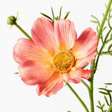 Orange real-touch cosmos spray alt view 2