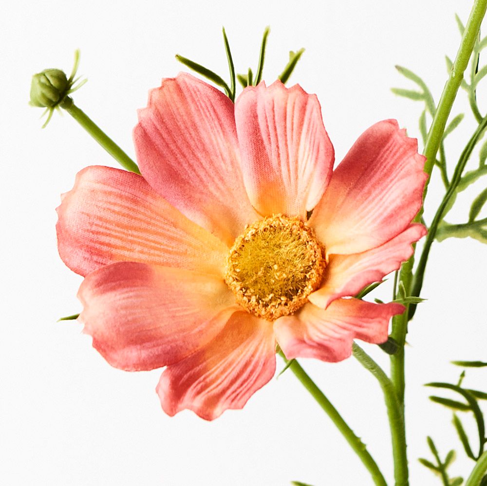 Orange real-touch cosmos spray alt view 2