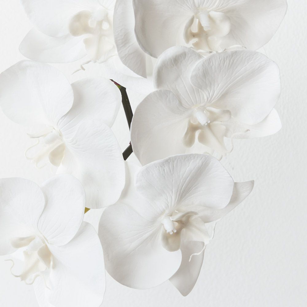 Winter White real-touch phalaenopsis infused orchid alt view 2
