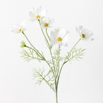 White cosmos spray | Sonder + Stone Boutique