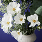 White cosmos spray alt view 4