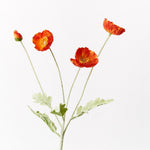 Burnt Orange Iceland poppy spray | Sonder + Stone Boutique
