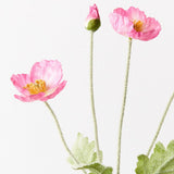 Fuschia Iceland poppy spray alt view 2