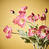 Fuschia Iceland poppy spray alt view 3
