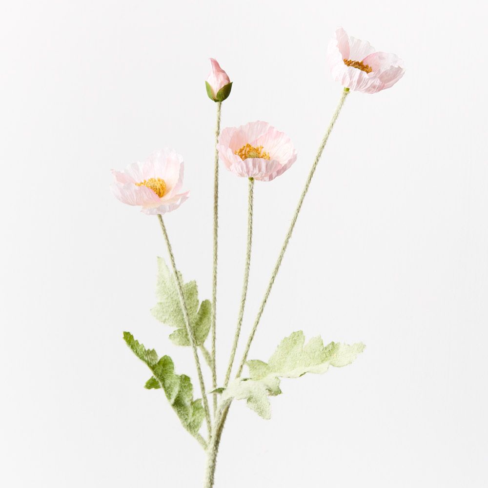 Light Pink Iceland poppy spray | Sonder + Stone Boutique