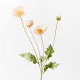Peach Iceland poppy spray | Sonder + Stone Boutique