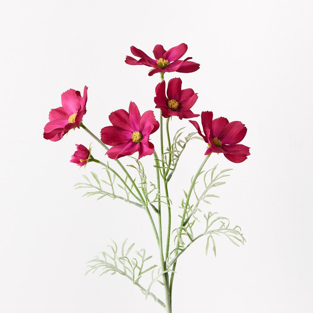 Burgundy cosmos spray | Sonder + Stone Boutique