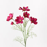 Burgundy cosmos spray | Sonder + Stone Boutique