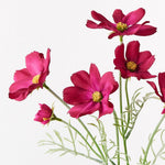 Burgundy cosmos spray alt view 2
