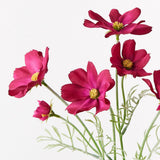 Burgundy cosmos spray alt view 2