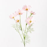 Light Pink cosmos spray | Sonder + Stone Boutique