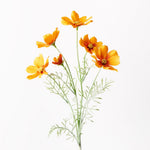 Orange cosmos spray | Sonder + Stone Boutique
