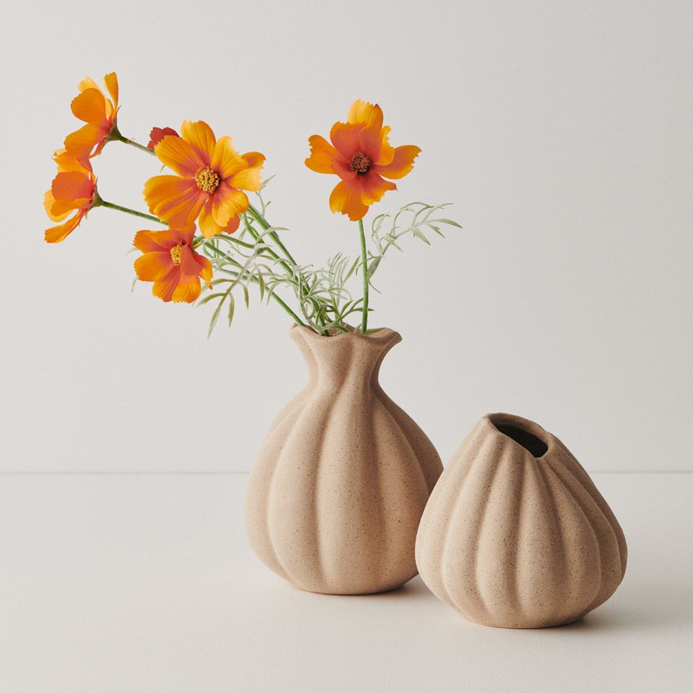 Orange cosmos spray alt view 4