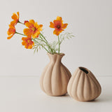 Orange cosmos spray alt view 4