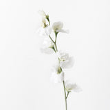 White sweet pea spray | Sonder + Stone Boutique