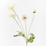 White Iceland poppy spray | Sonder + Stone Boutique