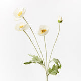 White Iceland poppy spray | Sonder + Stone Boutique