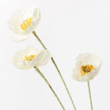 White Iceland poppy spray alt view 2