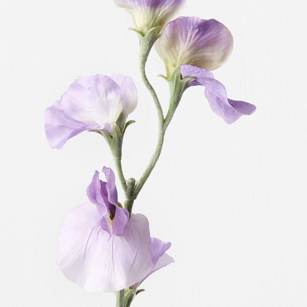 Lavender sweet pea spray alt view 2